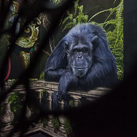 Boutique K7 3* Bad Nauheim