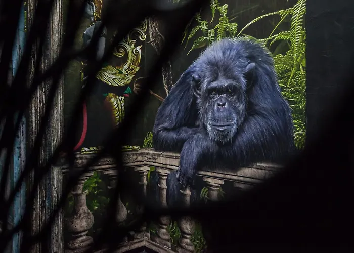 Szálloda Boutique K7